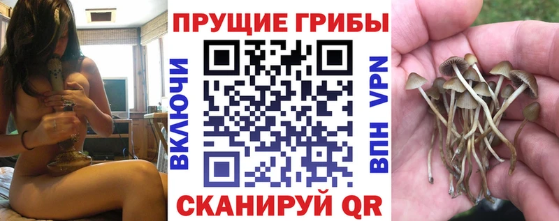 Галлюциногенные грибы GOLDEN TEACHER  купить наркотики цена  ОМГ ОМГ ссылка  Златоуст 
